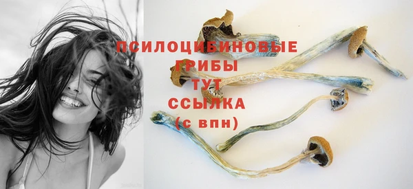 PSILOCYBIN Абдулино