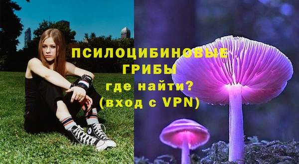 PSILOCYBIN Абдулино