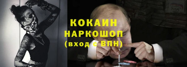 соль ск Абаза