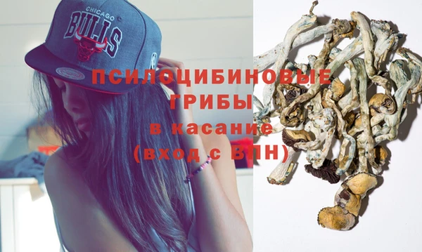 PSILOCYBIN Абдулино