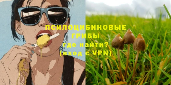 соль ск Абаза